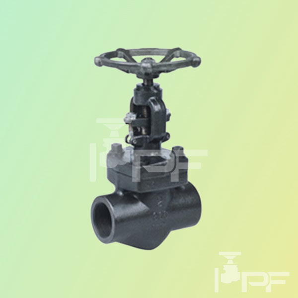 processfirinc-socket-weld-globe-valve Socket Weld Globe Valve at Ontario, Alberta and Manitoba